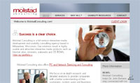 molstadconsulting.com